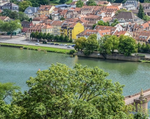 粉象生活改名字