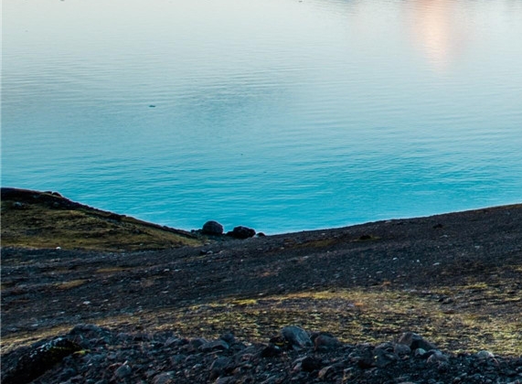 粉象生活下载app