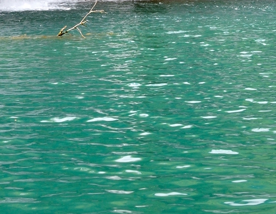 粉象生活下载app