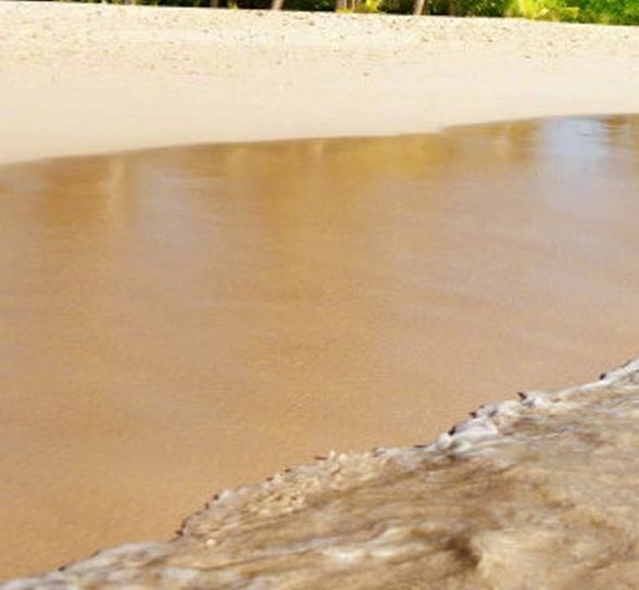 粉象生活邀请码