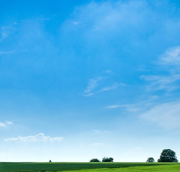 粉象生活怎么赚钱