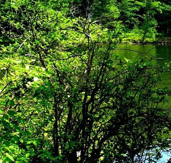 粉象生活下载app