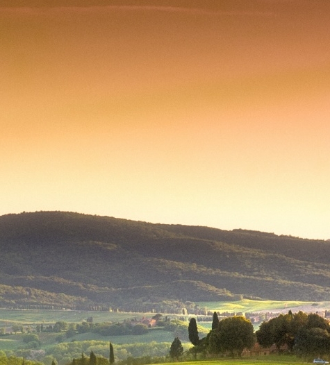 粉象生活加盟费365是什么级别