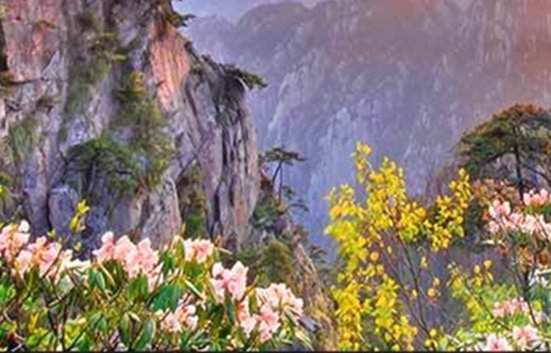 粉象生活封面图片