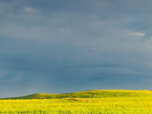 粉象生活新手怎么做