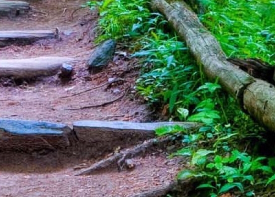 浙江一站式粉象生活推广