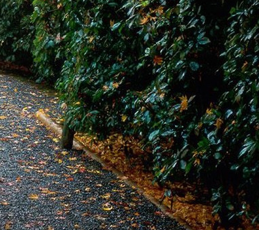 粉象生活没有邀请码可以注册吗