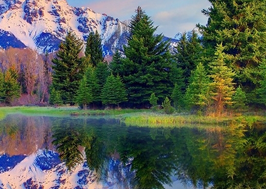 汕头粉象生活佣金