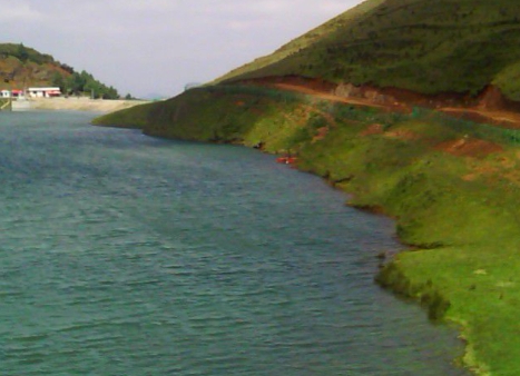 粉象生活搜讯网