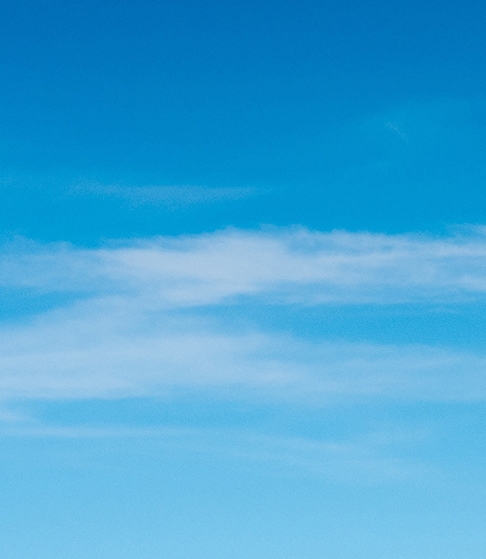 淘粉生活网络错误