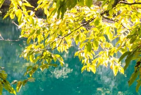 粉象生活能赚到钱吗