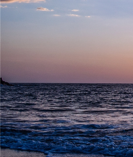 广东粉象生活推广