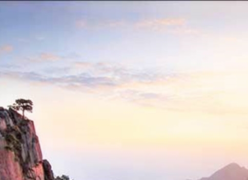 粉象生活粉丝怎么增加