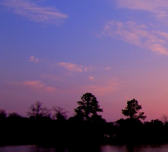 粉象一般人能喝几瓶