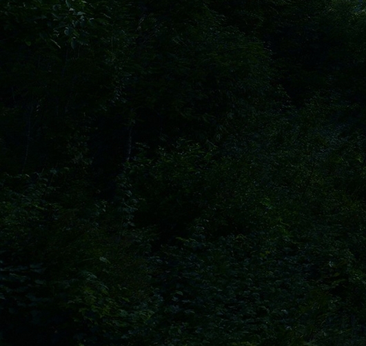 粉象生活被判决