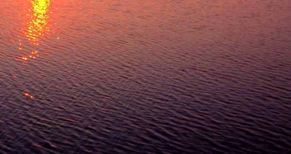 粉象生活能赚到钱吗