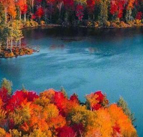 粉象生活 无货源