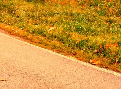 粉象生活怎么赚钱