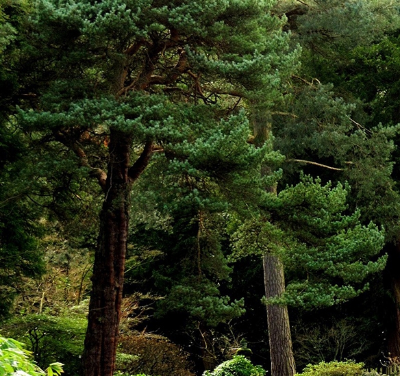粉象生活开店佣金