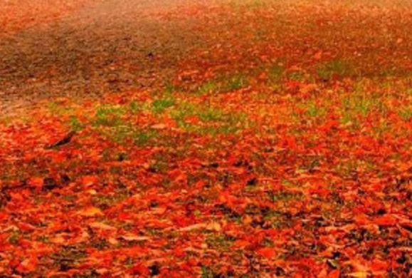 粉象生活的优惠券从哪里来