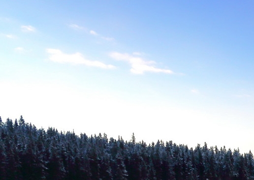 粉象生活怎么取消绑定邀请人