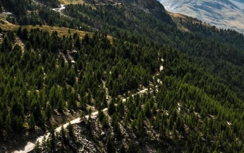 粉象生活能发布视频吗