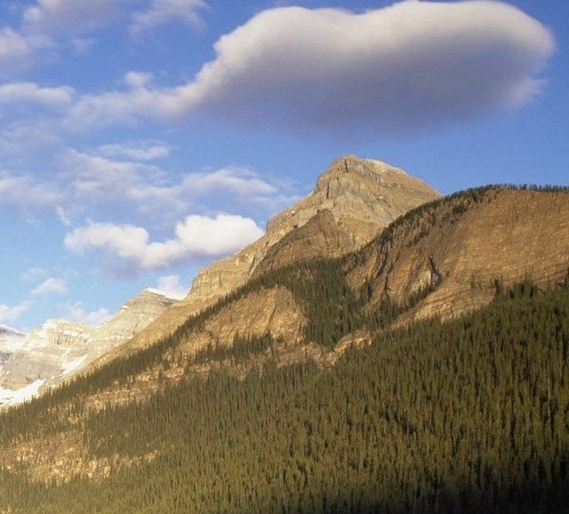 粉象生活需要交钱吗