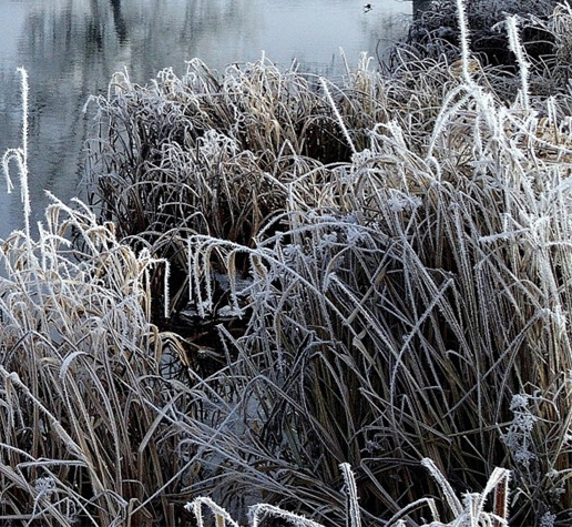 粉象生活怎么看上级邀请码