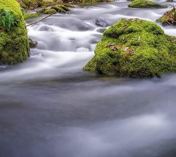 粉象生活邀请码