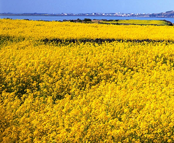 粉象生活能赚到钱吗