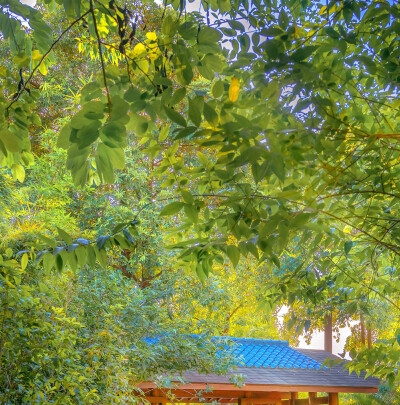 粉象生活源码申请