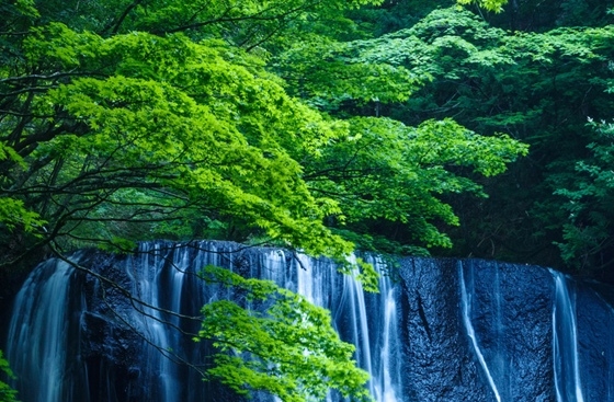 粉象生活邀请码怎样来的