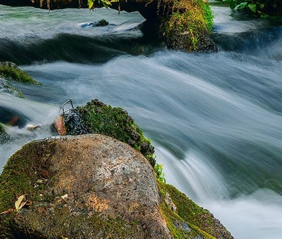 做粉象生活真的可以赚钱吗