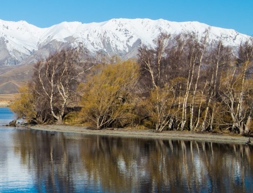 粉象生活做任务视频