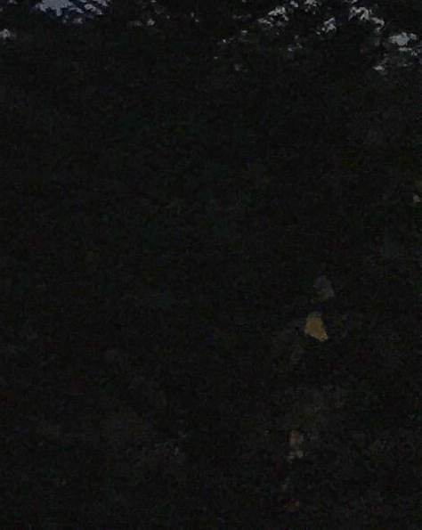 粉象生活无法结算