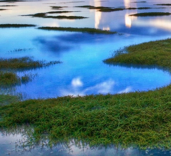 浙江正规粉象生活软件
