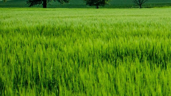 粉象生活粉丝怎么增加