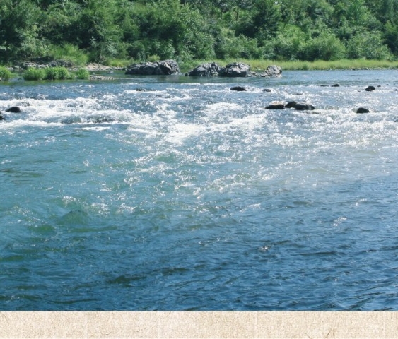 粉象生活赚钱是真的假的