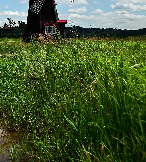 粉象生活的激活码