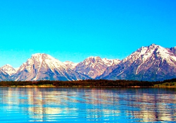 粉象生活是什么?