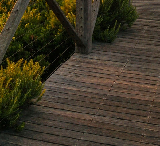 粉象生活真的可以省钱吗