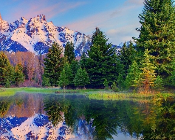 粉象生活下载app