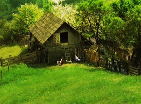 粉象生活粉丝怎么增加