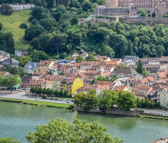 粉象生活下载官方正版