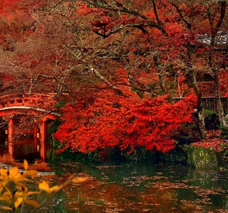 粉象生活粉丝怎么增加