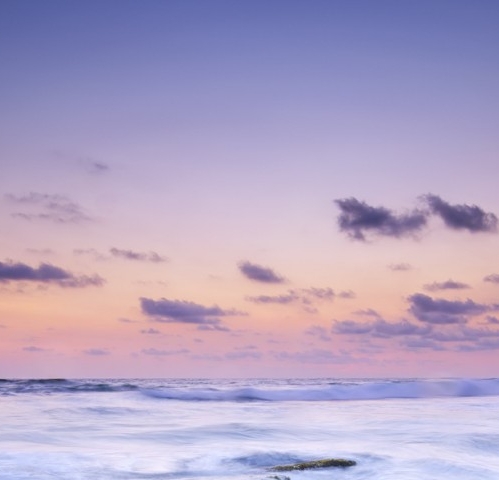 粉象生活是个什么东西