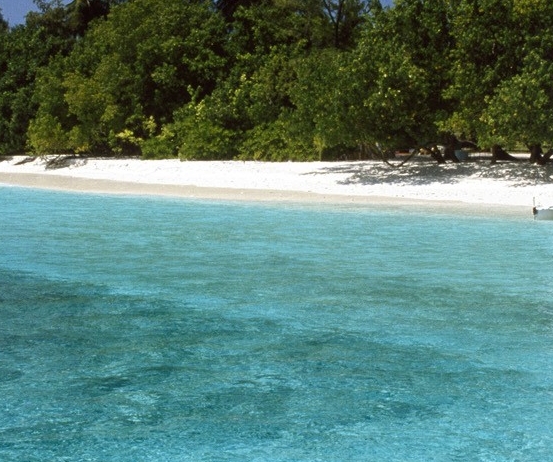 粉象生活买东西靠谱吗