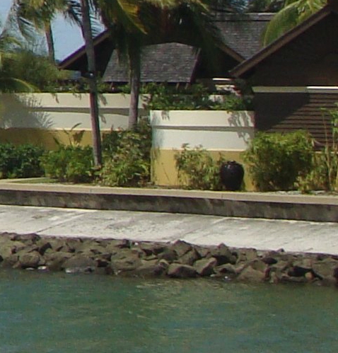 中山粉象生活图片