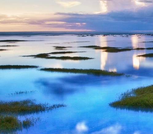 粉象生活需要加盟吗