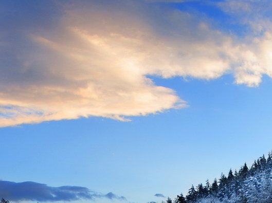 粉象生活是个什么东西